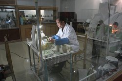 Второй этап изготовления эмали, Фабрики Нефрита, Жемчуга и Перегородчатой эмали, Пекин, Китай