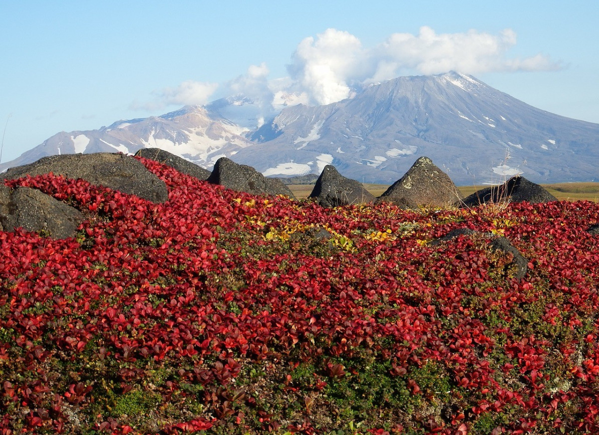 Осенняя Камчатка Фото