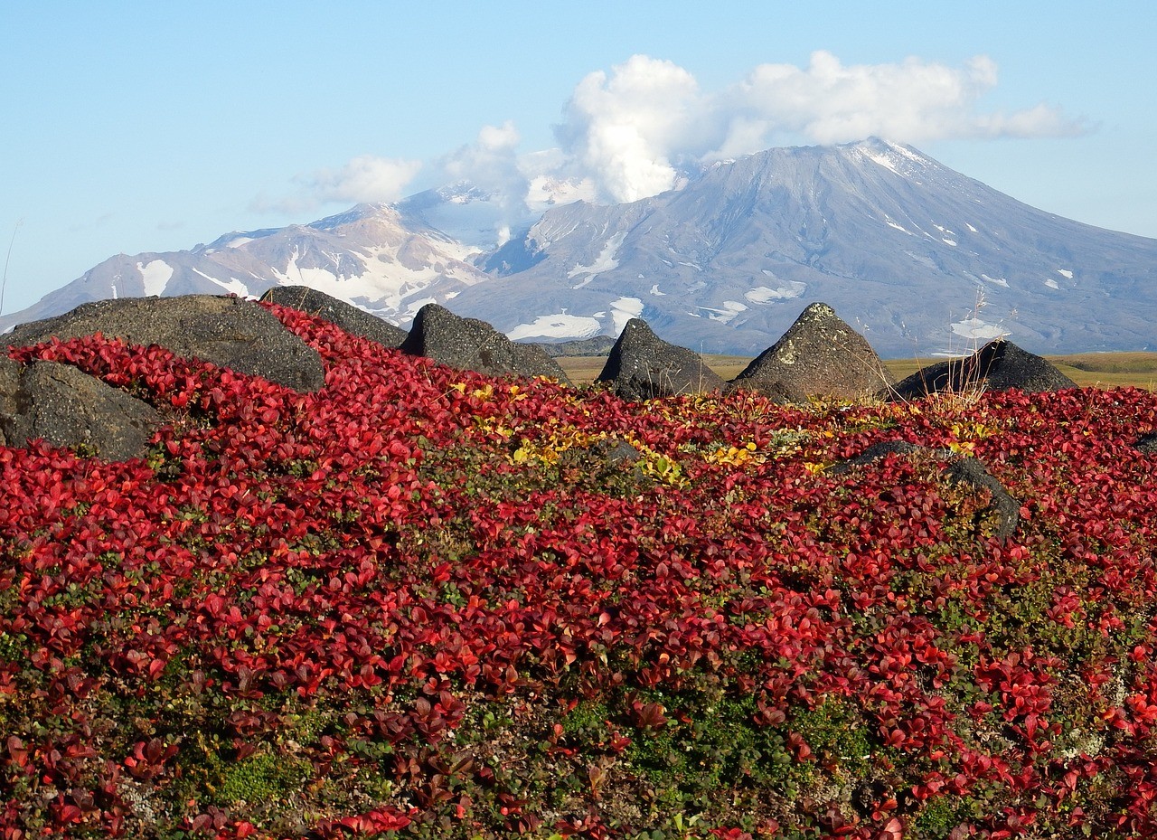 Осенняя палитра на Камчатке